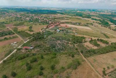 De vanzare Teren 3995mp intravilan Saldabagiu de Munte - 2