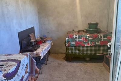 Casa 133 mp utili, 3300 mp teren, Ciutura - 13