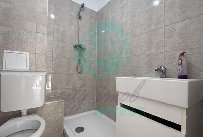 Penthouse boem cu terasa, Parcul Plumbuita - 11