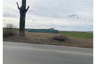 Teren intravilan 550 mp – la șosea principală, utilități la limita proprietatii - 7