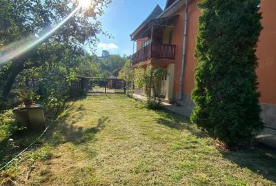 Vand casa comuna Chiuiesti Vand casa comuna Chiuiesti - 4