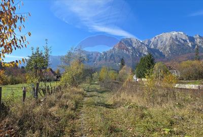 Teren intravilan cu vedere spectaculoasa spre Crucea Car... - 4