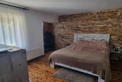 Casă cu 6 camere cu Teren 450 Mp în Geamăna - 18