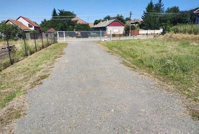 Hala industriala de vanzare sau inchiriere Misca - judetul Bihor - 972 mp construiti -Teren 12538 - 2