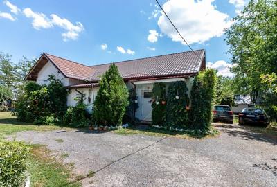 Casa+Laborator+ Teren 12.700 mp + casa de vacanta - Bolin... - 17