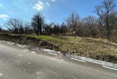 Teren de 828 mp, în Curăturile - 4