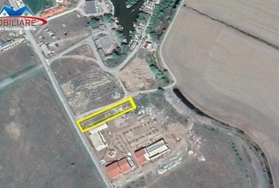 Teren intravilan de loc.Murighiol Jud.Tulcea - 10