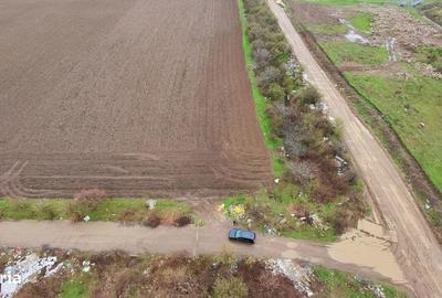 Teren de 10000 mp, în Găneasa - 3