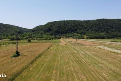 Teren de 5000 mp, în Cocorăștii Caplii - 1