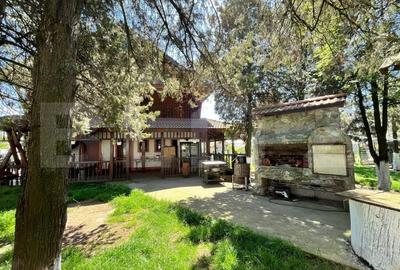 Teren Construcții intravilan de 45000 mp, în Brădești - 6