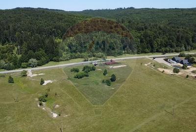 Teren agricol intravilan de 5561 mp, în Păltinoasa - 8