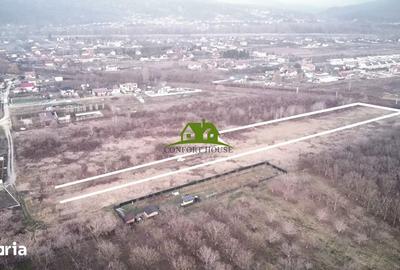 Teren de 3350 mp, în Mihăești - 6