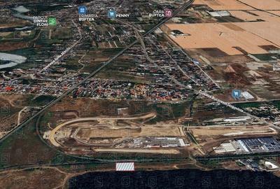 Teren de vânzare 10.028 mp - Mogoșoaia, lângă Pădurea Motoc - 3