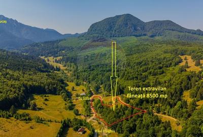 Teren 8500 mp, Valea Dalghiului - Dalghiu - vedere catre Ciucas - 11