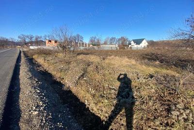 Teren de 4500 mp, în Speranța - 8
