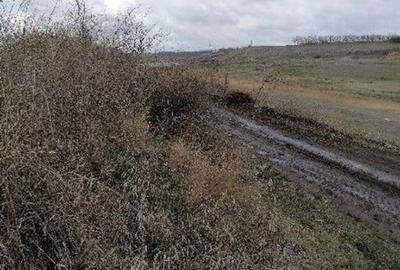 Teren de 7466 mp, în Țigănași - 7