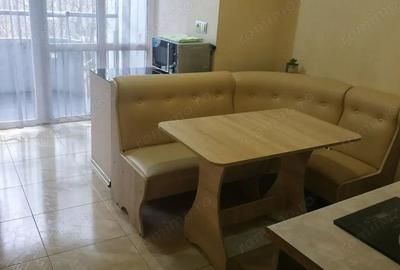 Garsoniera de inchiriat in orasul Pantelimon - 1