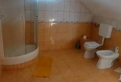 Casa cu teren 710 mp, Victor Hugo Fratelia - 5