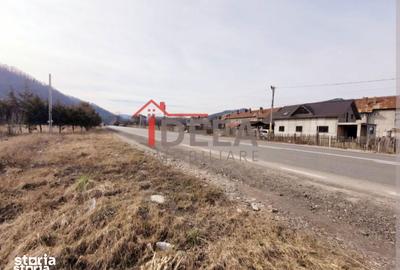Teren de 1000 mp, în Alexandru cel Bun - 2