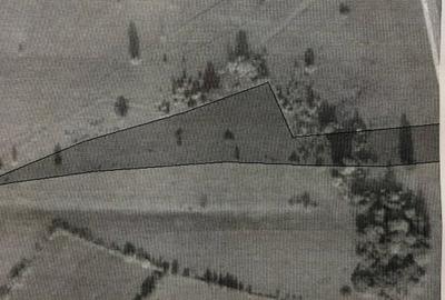 Teren extravilan de 10588 mp, în Vama Buzăului - 2