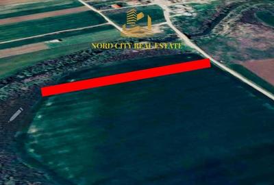 Teren de 5000 mp, în Ciorogârla