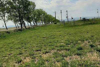 Teren de 5000 mp, în Central