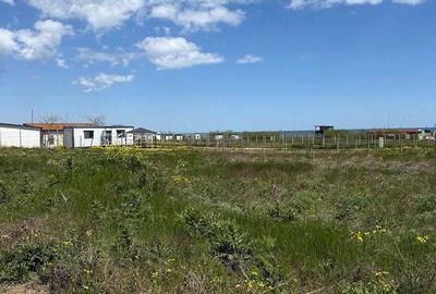 Teren de 500 mp, în Corbu - 6