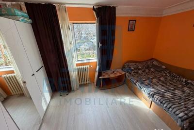 Apartament cu 2 camere semidecomandat în Craiovița Nouă - 4