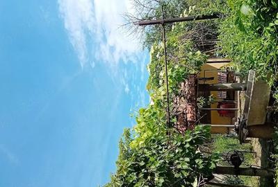Casă cu 3 camere cu Teren 1250 Mp în Valea Stanciului - 5