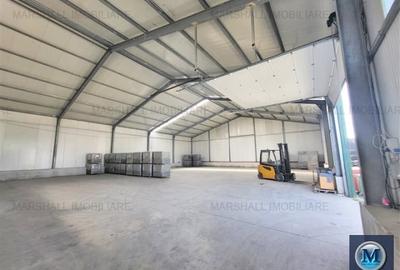 Spațiu industrial, de 1,500 mp, în Exterior Vest - 1