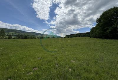 Teren Construcții intravilan de 34602 mp, în Valea Dobârlăului - 3