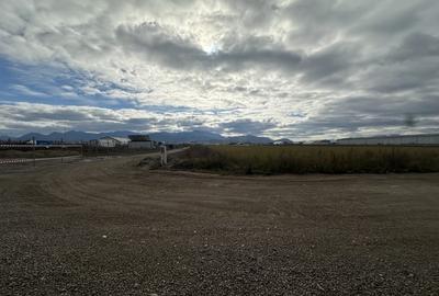 Teren de 3200 mp, în Stupini