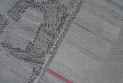 Teren agricol extravilan de 5000 mp, în Jilava - 2