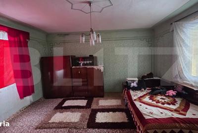 Casă cu 2 camere în Șieu - 17