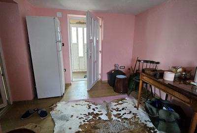 Casă cu Teren 1405 Mp în Sâmbăteni - 7