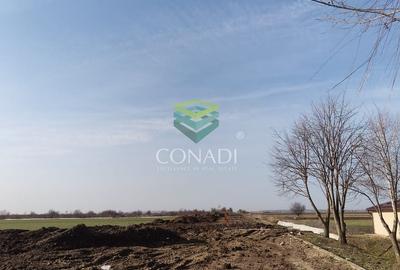 Teren Construcții intravilan de 19330 mp, în Tărtășești - 12