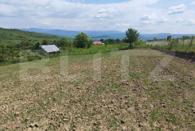 Teren Construcții extravilan de 1000 mp, în Nord-Est