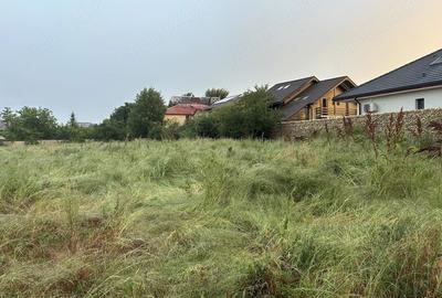 Teren de 4000 mp, în Mogoșoaia