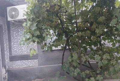 Casă cu 3 camere în Exterior Vest