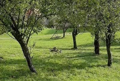 Teren de 2100 mp, în Moieciu