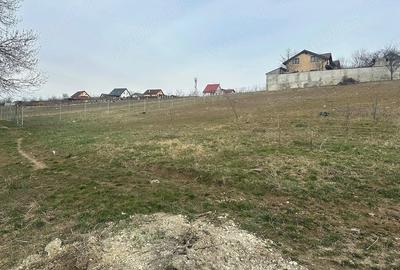Teren de 600 mp, în Hărman