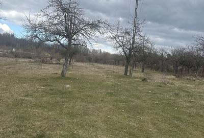 Teren de 4400 mp, în Voila