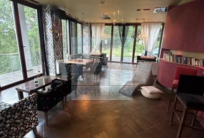 Spațiu comercial, de 1,000 mp, în Cioplea