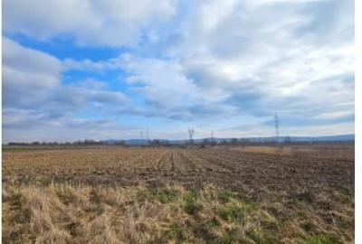 Teren agricol extravilan de 6400 mp, în Industrială