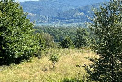 Teren de 10000 mp, în Alexandru cel Bun - 2