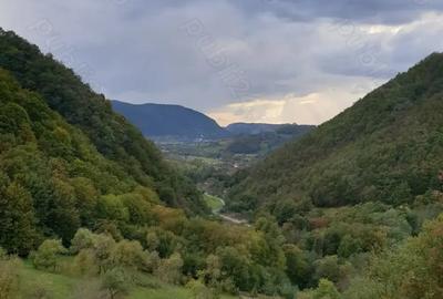 Teren de 8500 mp, în Hărțăgani - 1