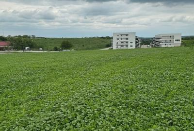 Teren intravilan de 8968 mp, în Varlaam