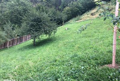 Spațiu comercial, în Schei - 4