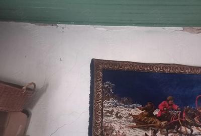 Casă cu Teren 2020 Mp în Dragoș Vodă - 4