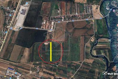 Teren agricol intravilan de 5800 mp, în Jucu de Mijloc - 5